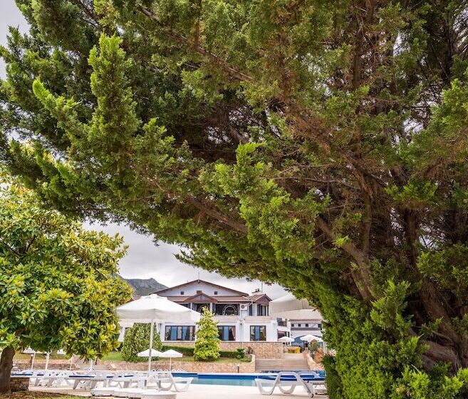 هتل The Olive Tree