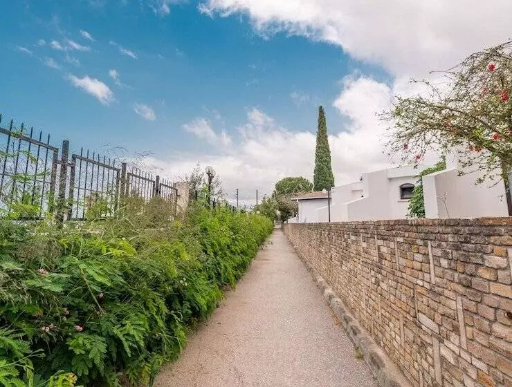 Отель The Olive Tree