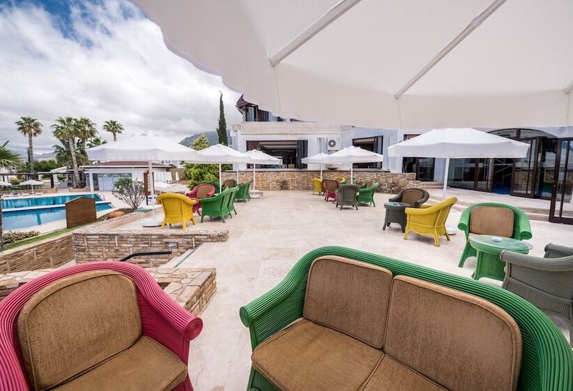 هتل The Olive Tree