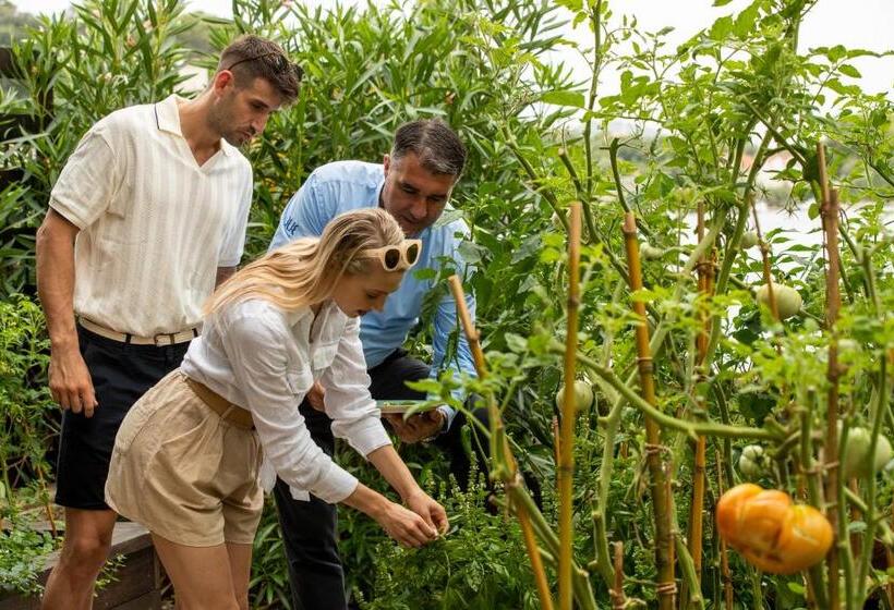 ホテル Tui Blue Kalamota Island   All Inclusive