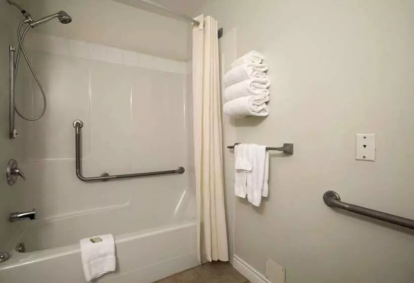 汽车旅馆 Super 8 By Wyndham Revelstoke Bc