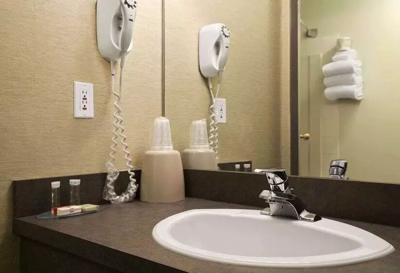 汽车旅馆 Super 8 By Wyndham Revelstoke Bc