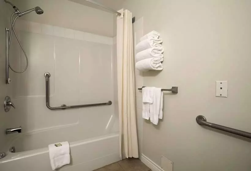 汽车旅馆 Super 8 By Wyndham Revelstoke Bc