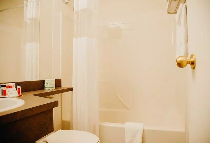 汽车旅馆 Super 8 By Wyndham Revelstoke Bc