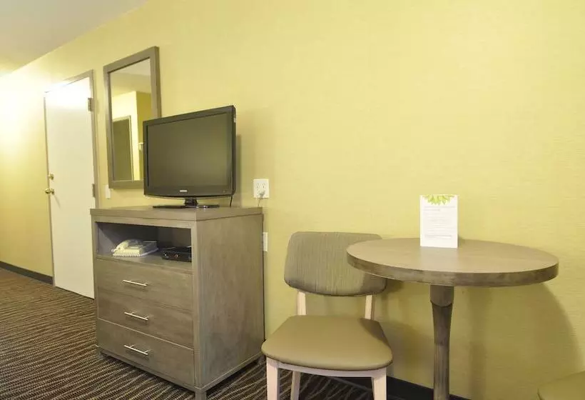 汽车旅馆 Super 8 By Wyndham Revelstoke Bc