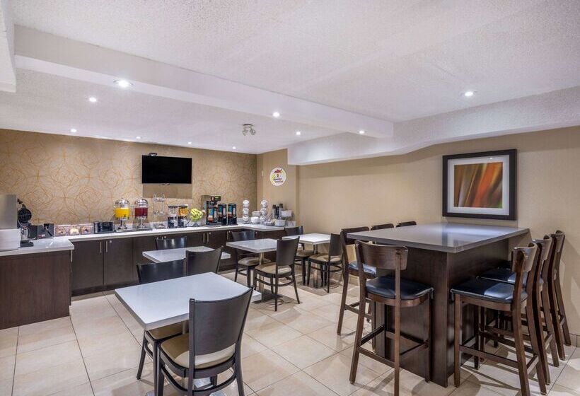 モーテル Super 8 By Wyndham Toronto East On