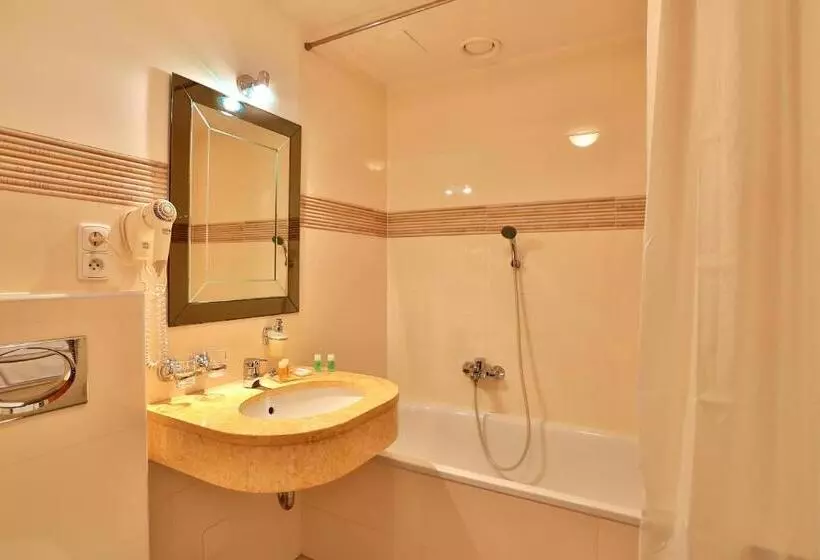 호텔 Ariston Prague