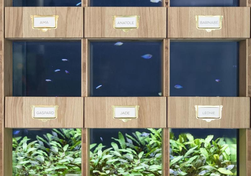 Отель Black Bass