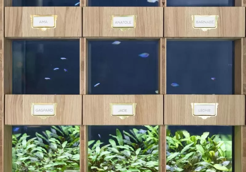 Отель Black Bass