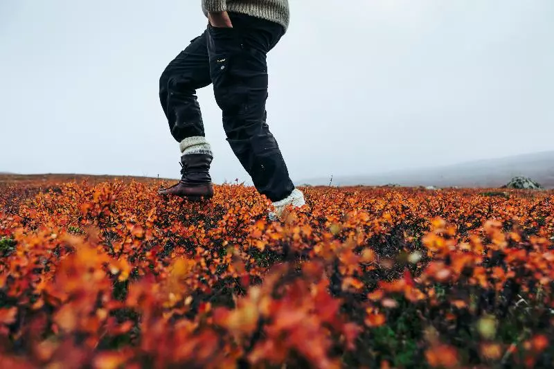 Lapland Hotels äkäshotelli