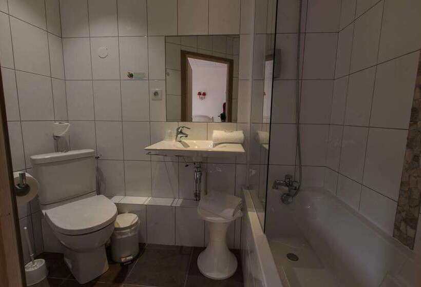 Brit Hotel Bristol Montbéliard Centre