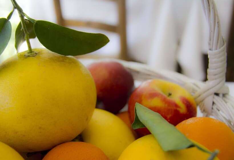 هتل Les Vergers De Saint Paul