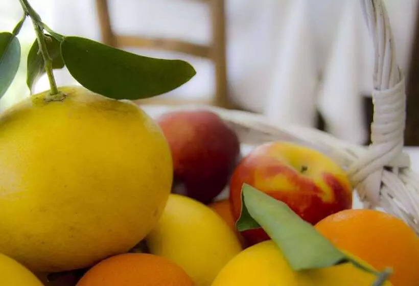 酒店 Les Vergers De Saint Paul