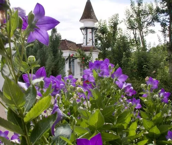 Отель La Roseraie