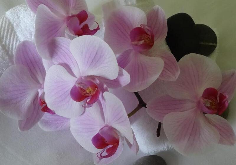 فندق Am Rosengarten