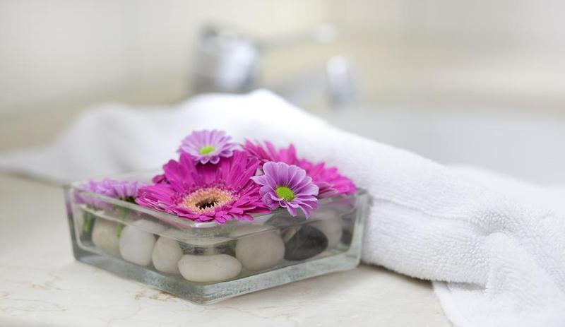 فندق Am Rosengarten