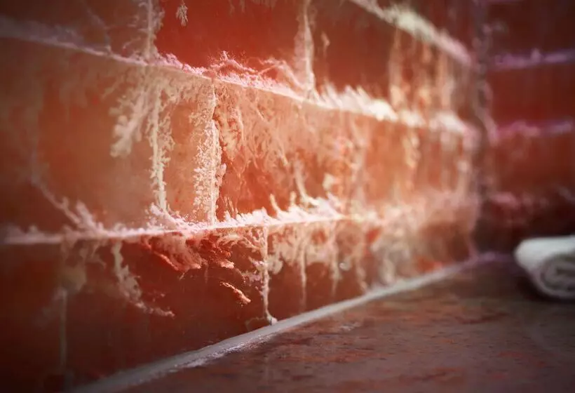 Best Western Hotel Das Donners