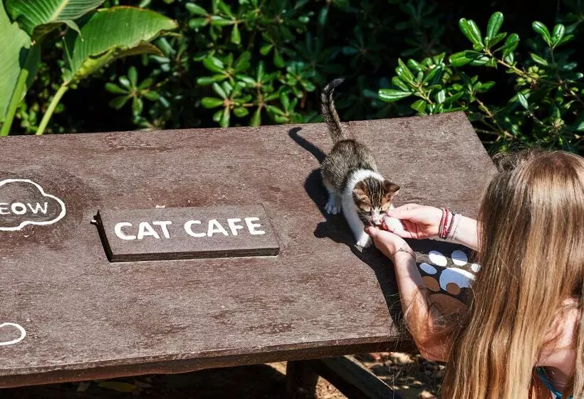 호텔 Agapi Beach Resort Premium All Inclusive