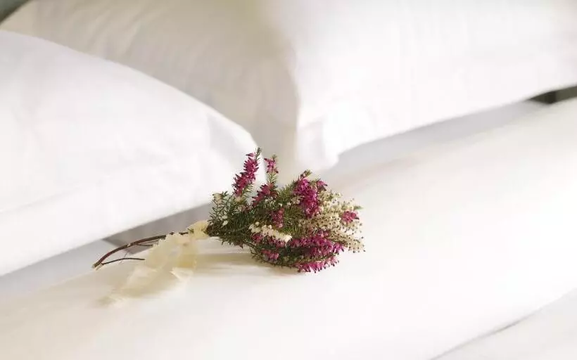 בית מלון כפרי Ballynahinch Castle