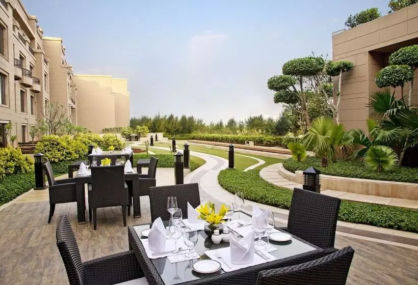 هتل Radisson Blu Plaza Delhi Airport