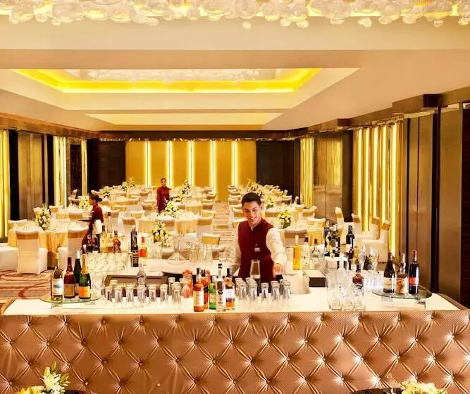 هتل Radisson Blu Plaza Delhi Airport