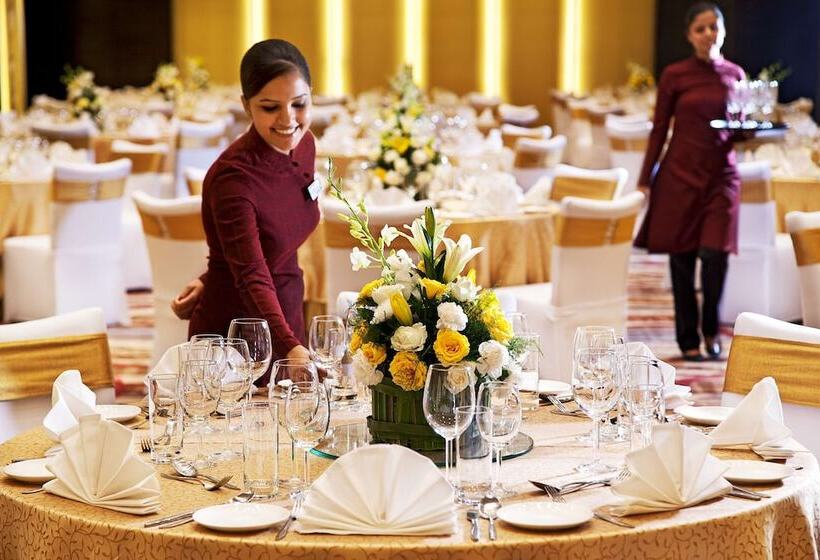 ホテル Radisson Blu Plaza Delhi Airport