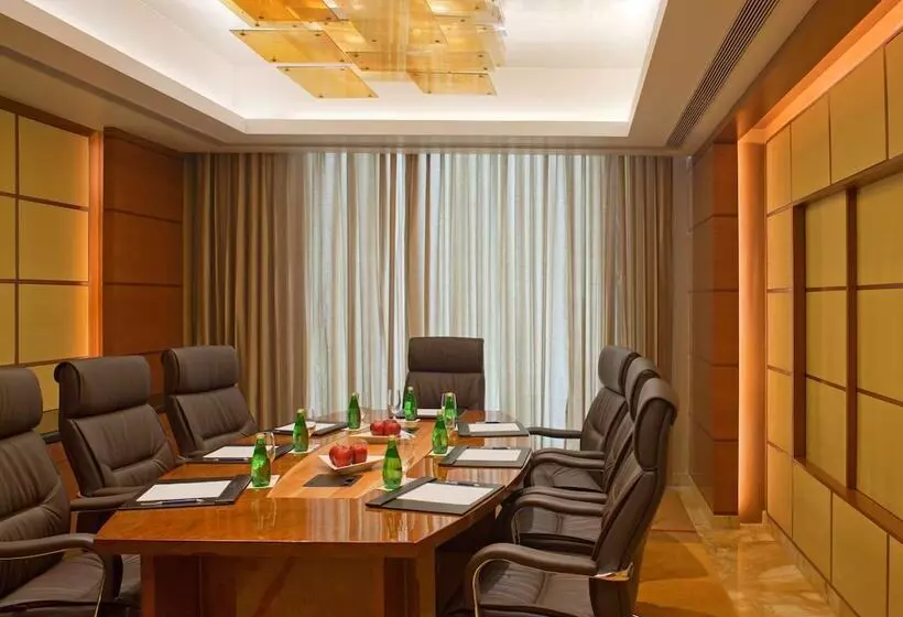 هتل Radisson Blu Plaza Delhi Airport