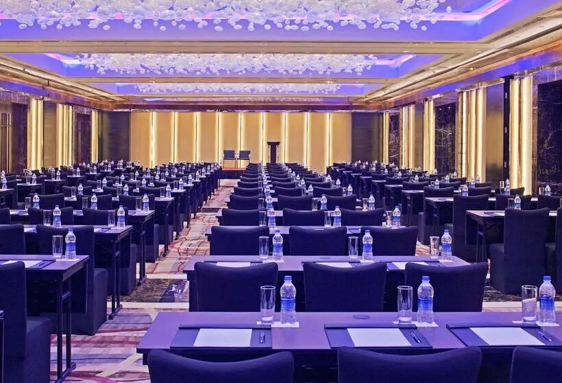 هتل Radisson Blu Plaza Delhi Airport