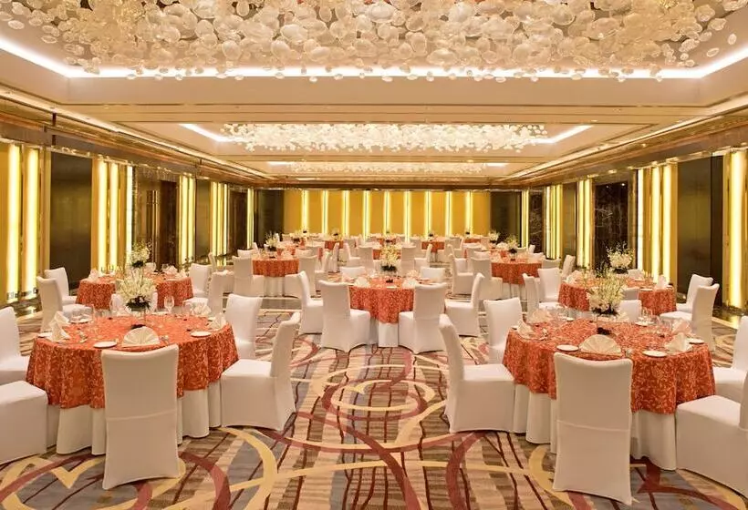 هتل Radisson Blu Plaza Delhi Airport