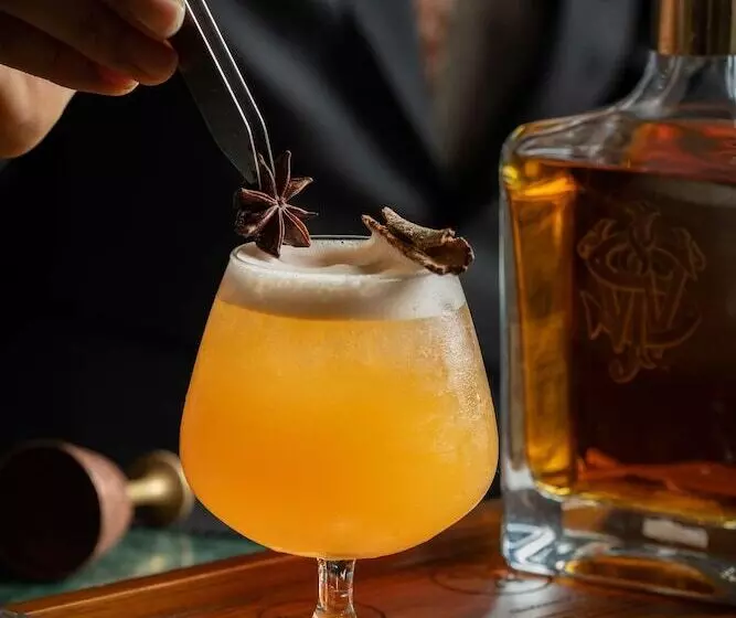 هتل Radisson Blu Plaza Delhi Airport