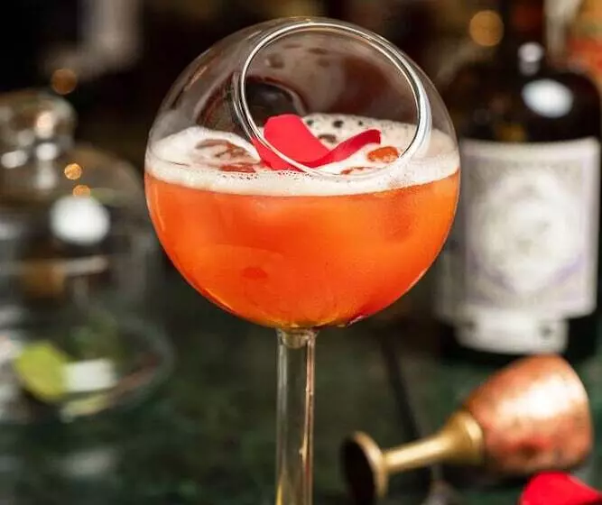 هتل Radisson Blu Plaza Delhi Airport