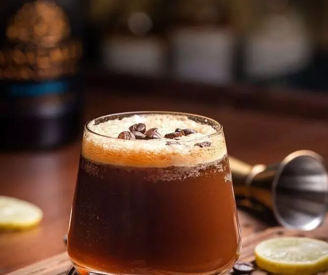 هتل Radisson Blu Plaza Delhi Airport