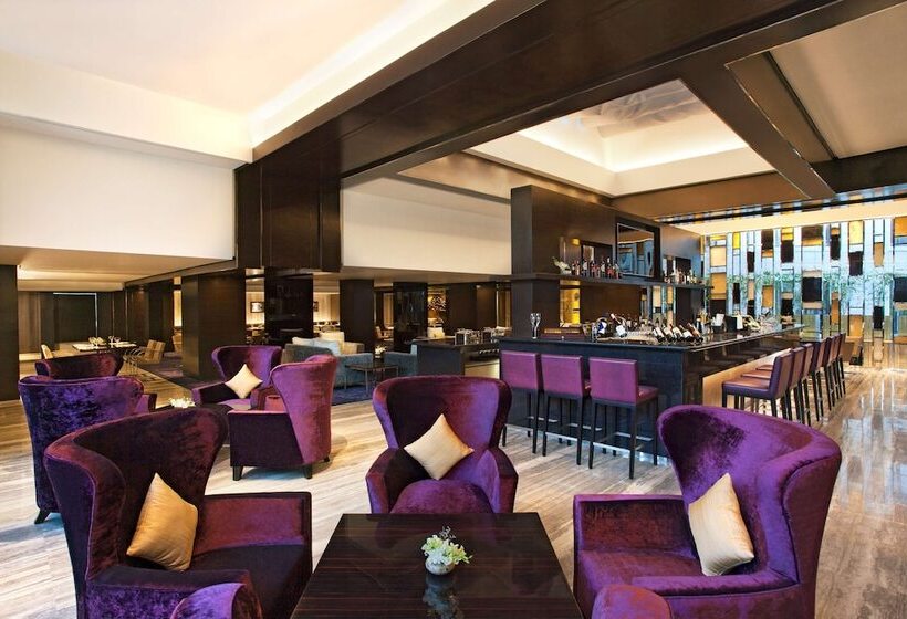 ホテル Radisson Blu Plaza Delhi Airport