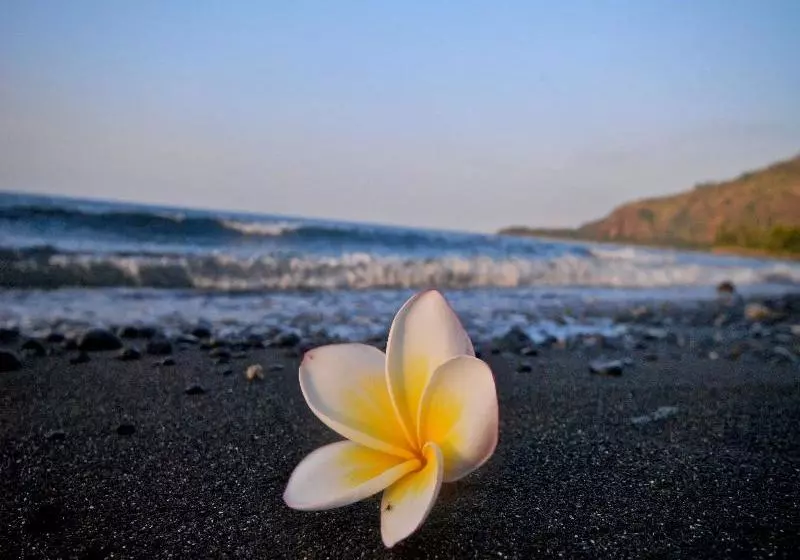 Matahari Beach Resort & Spa