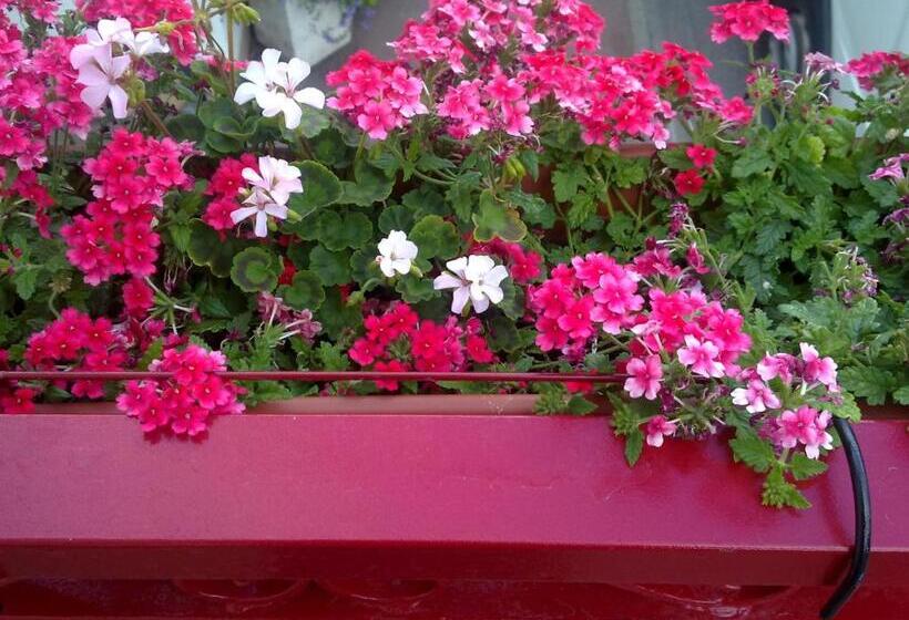 Отель Hôtel De La Poste