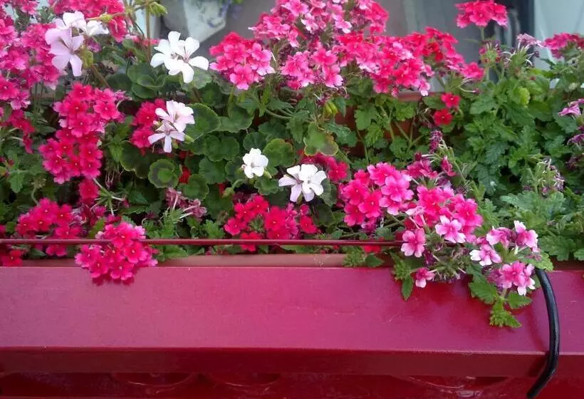 Hotelli Hôtel De La Poste