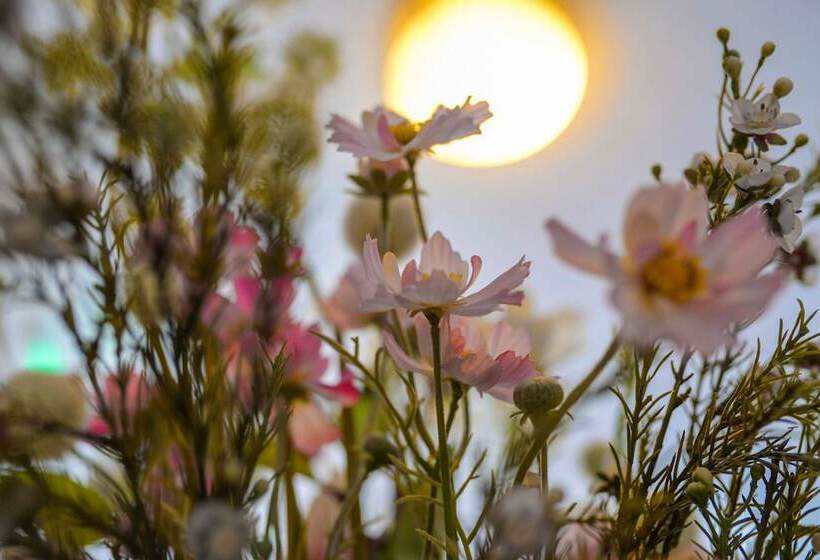 Отель Hôtel De La Poste