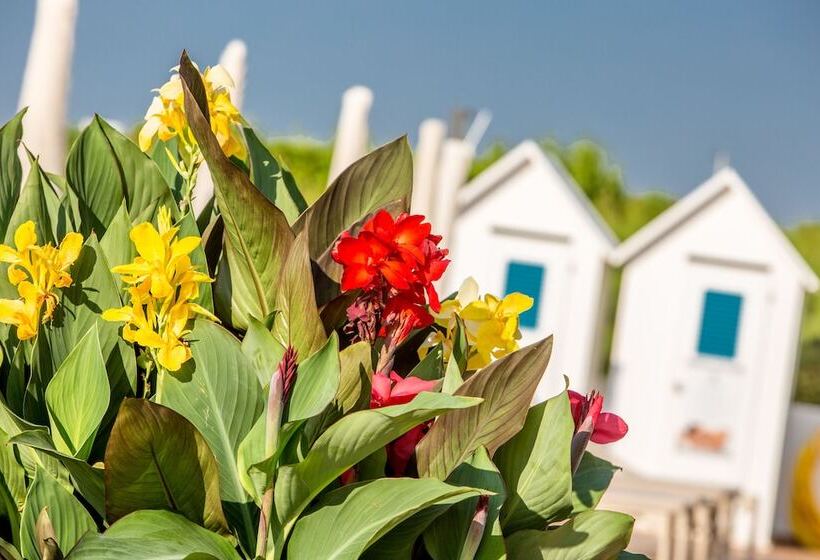 בית מלון כפרי Aurora