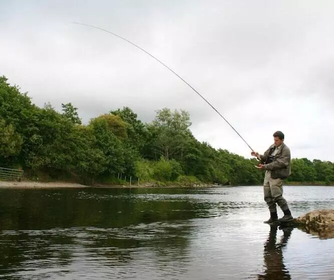 Отель Downhill Inn