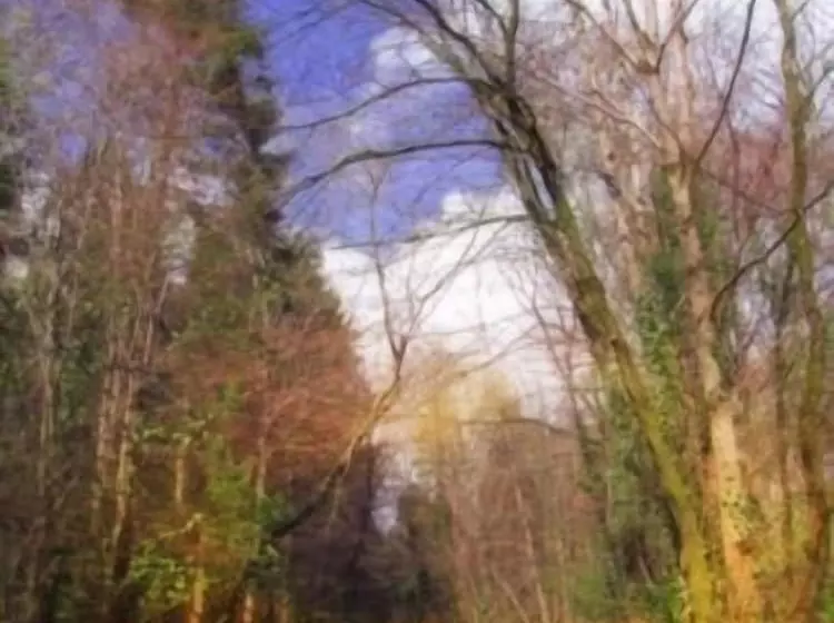 Отель Downhill Inn