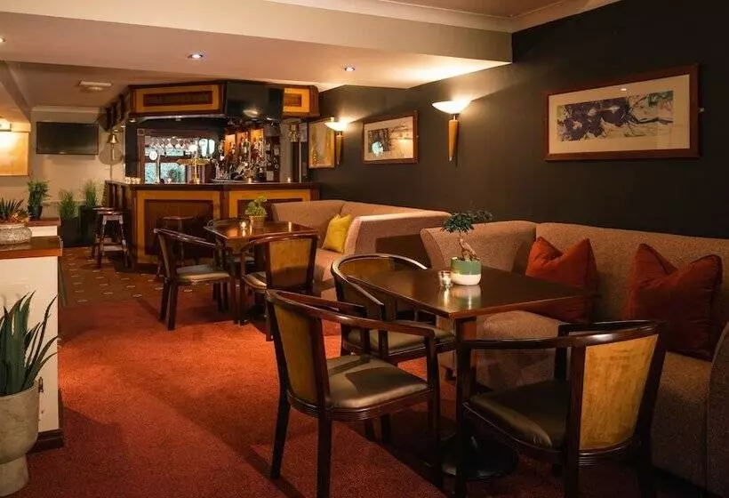 Отель Downhill Inn