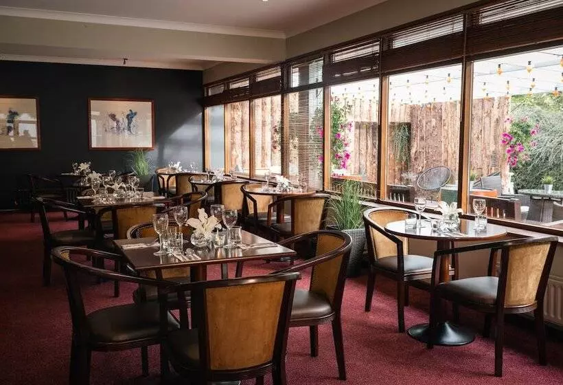 Отель Downhill Inn