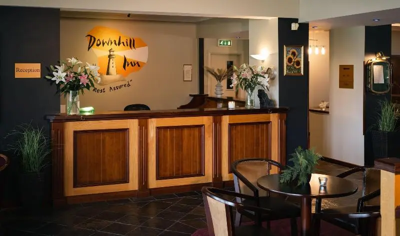 ホテル Downhill Inn