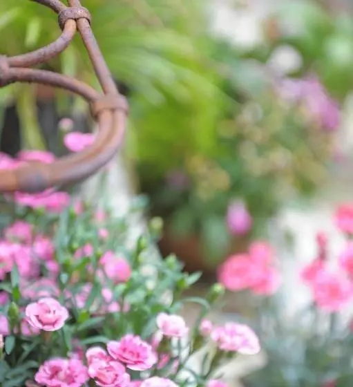 Hotelli Hôtel De La Cathédrale