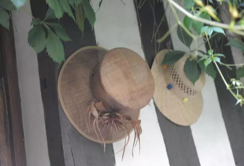 Hotelli Hôtel De La Cathédrale