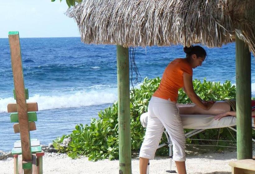 여관 Green Lodge Moorea