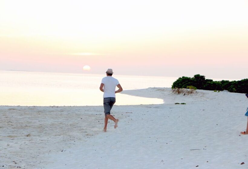 پانسیون Omadhoo Inn