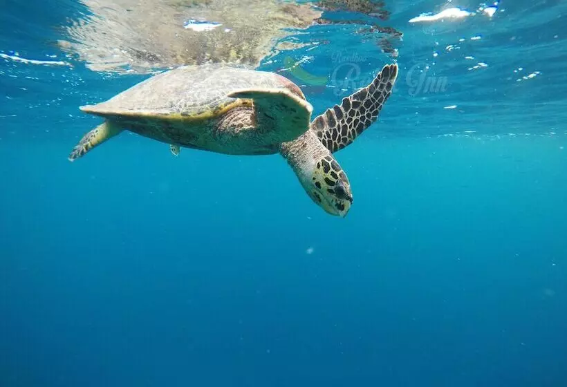 پانسیون Rasdhoo Relax Inn