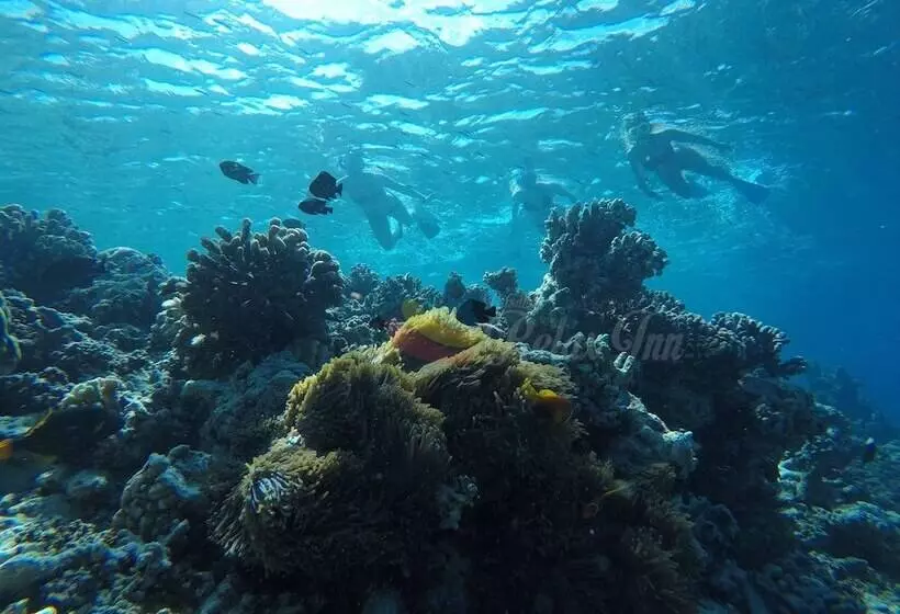 پانسیون Rasdhoo Relax Inn