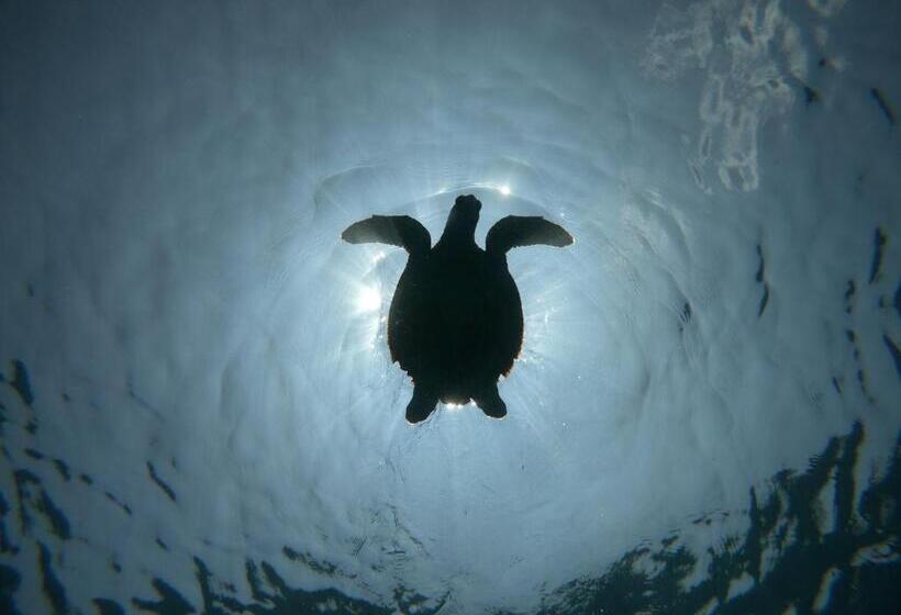 هتل Acqua Blu Rasdhoo